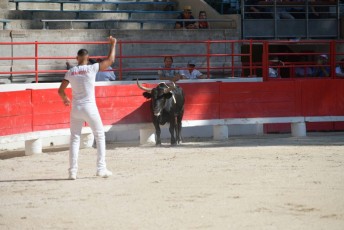 1-Palme_d'argent_2019 (8)