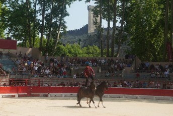 2eme journee Palme dOr 2019 Beaucaire 21-07-2019 (1)