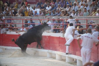 2eme journee Palme dOr 2019 Beaucaire 21-07-2019 (104)