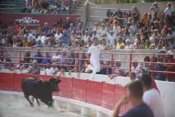 2eme journee Palme dOr 2019 Beaucaire 21-07-2019 (106)