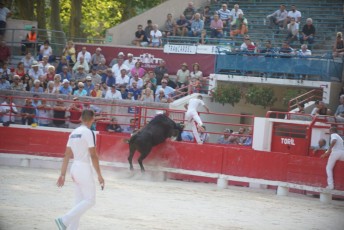 2eme journee Palme dOr 2019 Beaucaire 21-07-2019 (107)