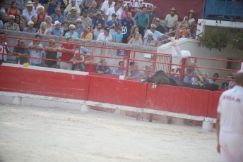 2eme journee Palme dOr 2019 Beaucaire 21-07-2019 (108)