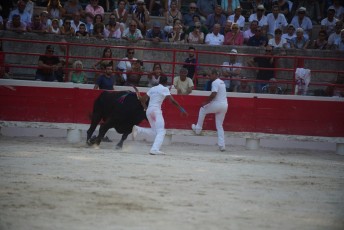 2eme journee Palme dOr 2019 Beaucaire 21-07-2019 (109)