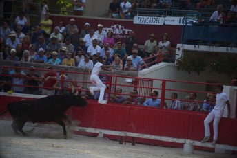 2eme journee Palme dOr 2019 Beaucaire 21-07-2019 (110)