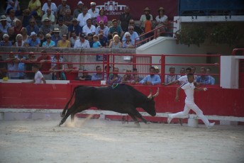 2eme journee Palme dOr 2019 Beaucaire 21-07-2019 (112)