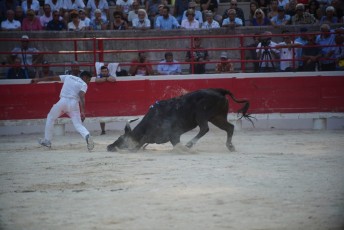 2eme journee Palme dOr 2019 Beaucaire 21-07-2019 (114)