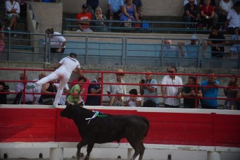 2eme journee Palme dOr 2019 Beaucaire 21-07-2019 (115)