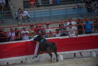 2eme journee Palme dOr 2019 Beaucaire 21-07-2019 (117)