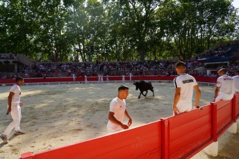 2eme journee Palme dOr 2019 Beaucaire 21-07-2019 (78)