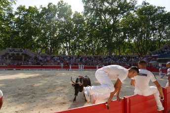 2eme journee Palme dOr 2019 Beaucaire 21-07-2019 (79)