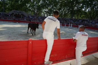 2eme journee Palme dOr 2019 Beaucaire 21-07-2019 (80)