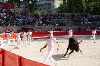 2eme journee Palme dOr 2019 Beaucaire 21-07-2019 (83)