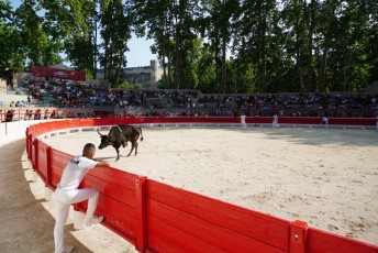 2eme journee Palme dOr 2019 Beaucaire 21-07-2019 (86)