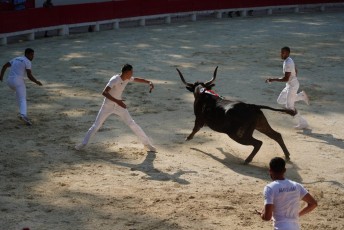 2eme journee Palme dOr 2019 Beaucaire 21-07-2019 (93)