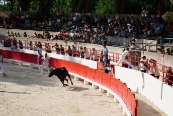 2eme journee Palme dOr 2019 Beaucaire 21-07-2019 (94)