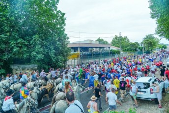 Abrivado Carnavalesque (45)