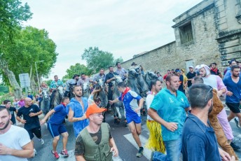 Abrivado Carnavalesque (49)