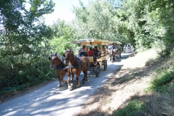 Abrivado_à_l'ancienne (100)