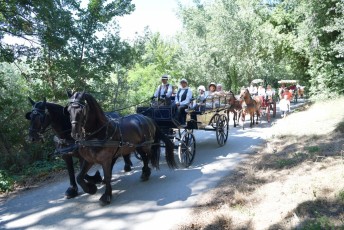 Abrivado_à_l'ancienne (60)