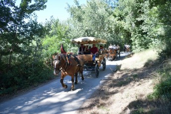 Abrivado_à_l'ancienne (64)
