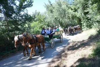 Abrivado_à_l'ancienne (80)