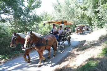 Abrivado_à_l'ancienne (98)