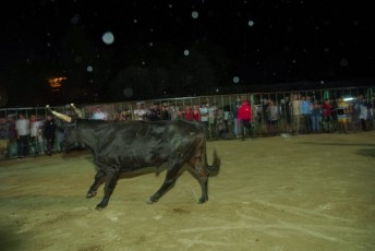 Beaucaire encierro de nuit di 27-07-2019 (12)