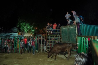 Beaucaire encierro de nuit di 27-07-2019 (19)