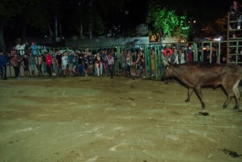 Beaucaire encierro de nuit di 27-07-2019 (20)