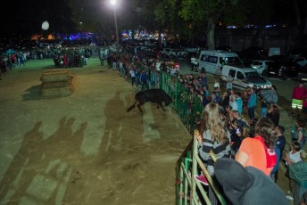 Beaucaire encierro de nuit di 27-07-2019 (27)