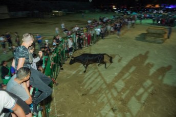 Beaucaire encierro de nuit di 27-07-2019 (32)