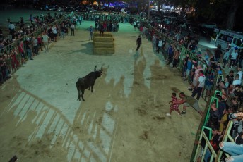 Beaucaire encierro de nuit di 27-07-2019 (8)