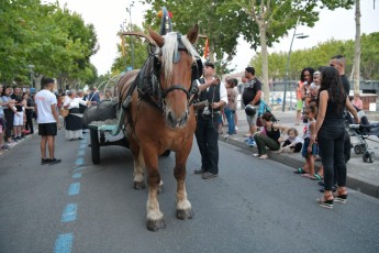 Defile de la Madeleine Beaucaire 21-07-2019 (19)