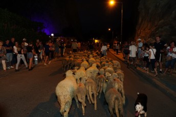 Defile de la Madeleine Beaucaire 21-07-2019 (217)