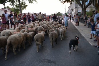 Defile de la Madeleine Beaucaire 21-07-2019 (35)