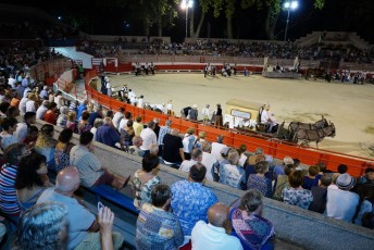 Defile de la Madeleine Beaucaire 21-07-2019 (444)