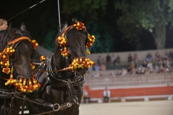 Defile de la Madeleine Beaucaire 21-07-2019 (491)
