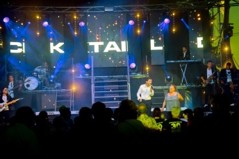 Salon taurin soir 5 + feu d artifice beaucaire - julien sanchez (3)