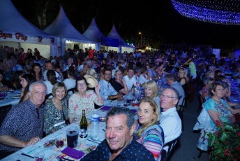 Salon taurin soir 5 + feu d artifice beaucaire - julien sanchez (42)