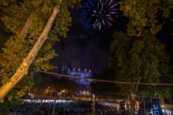 Salon taurin soir 5 + feu d artifice beaucaire - julien sanchez (48)