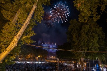 Salon taurin soir 5 + feu d artifice beaucaire - julien sanchez (49)