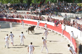 finale de la palme d or - beaucaire- julien sanchez (10)