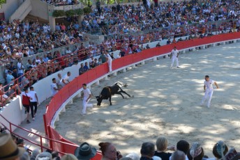 finale de la palme d or - beaucaire- julien sanchez (11)