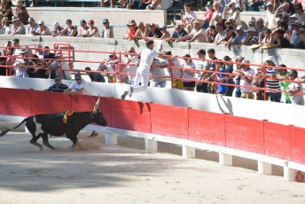 finale de la palme d or - beaucaire- julien sanchez (12)
