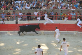 finale de la palme d or - beaucaire- julien sanchez (14)