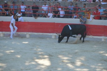 finale de la palme d or - beaucaire- julien sanchez (15)