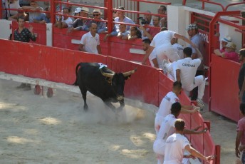 finale de la palme d or - beaucaire- julien sanchez (17)