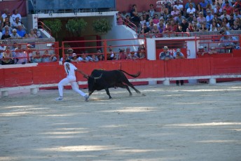 finale de la palme d or - beaucaire- julien sanchez (19)