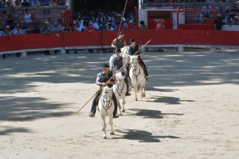 finale de la palme d or - beaucaire- julien sanchez (2)