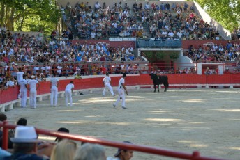 finale de la palme d or - beaucaire- julien sanchez (21)